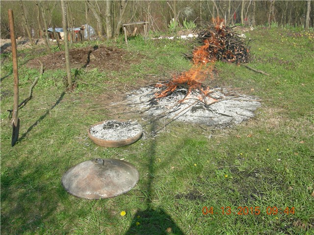 arčilend